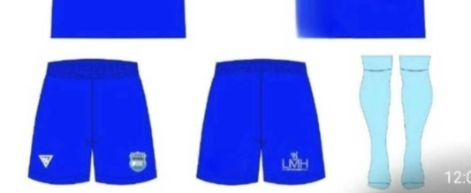 Dorset Futsal home shorts or socks