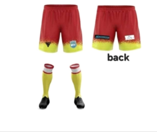 Dorset Futsal Away shorts or socks